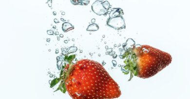 The Role of Diet in Cholesterol Health