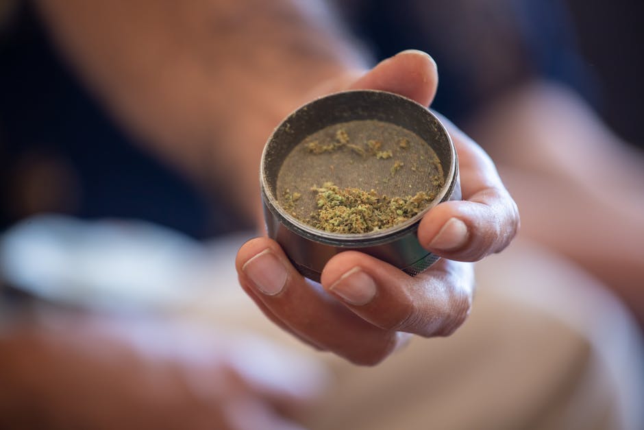 Cholesterol-Reducing Herbs and Spices to Use