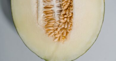 Healthy Meal Ideas Under 500 Calories