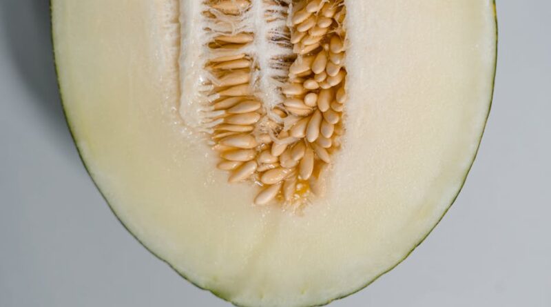 Healthy Meal Ideas Under 500 Calories